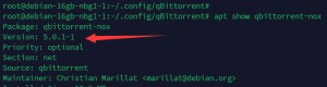 apt安装最新版qbittorrent-nox 5.0.1，并修改密码-THsInk